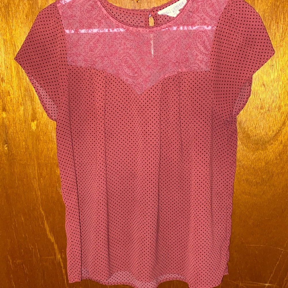 Sweet Wanderer Pink Sheer Polka Dot Blouse